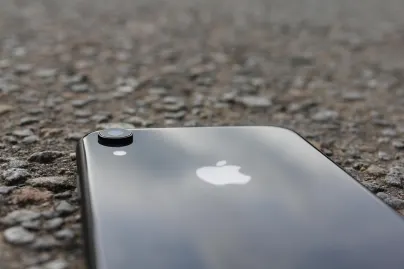 Kasyno Jungle Raja Aplikacja mobilna